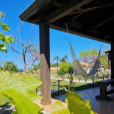 Agriturismo Ninea Ricadi Eksteriør billede