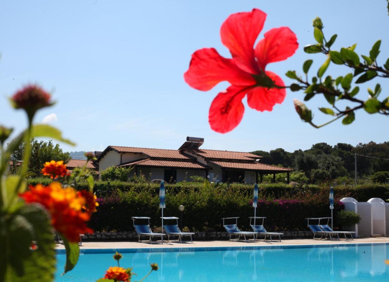 Agriturismo Ninea Ricadi Eksteriør billede