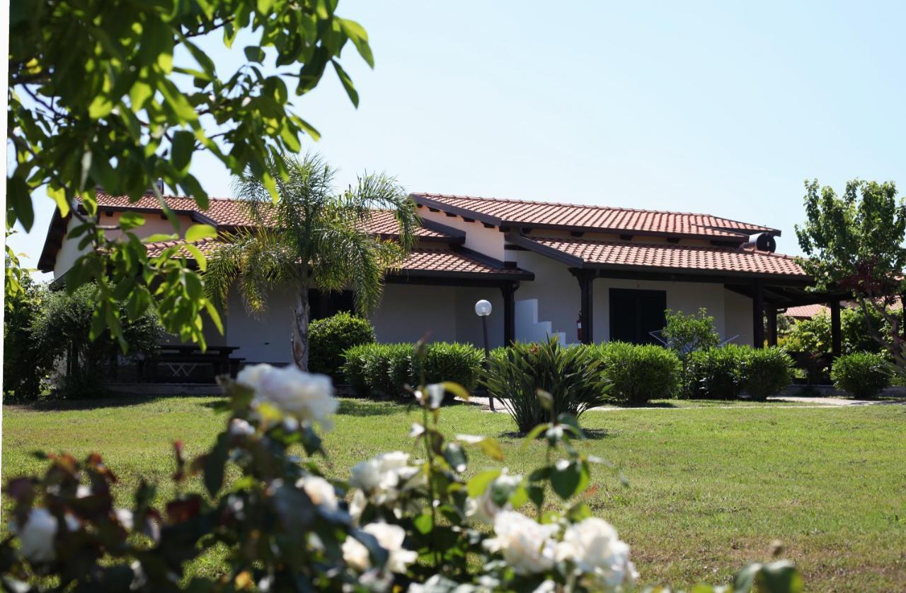Agriturismo Ninea Ricadi Eksteriør billede