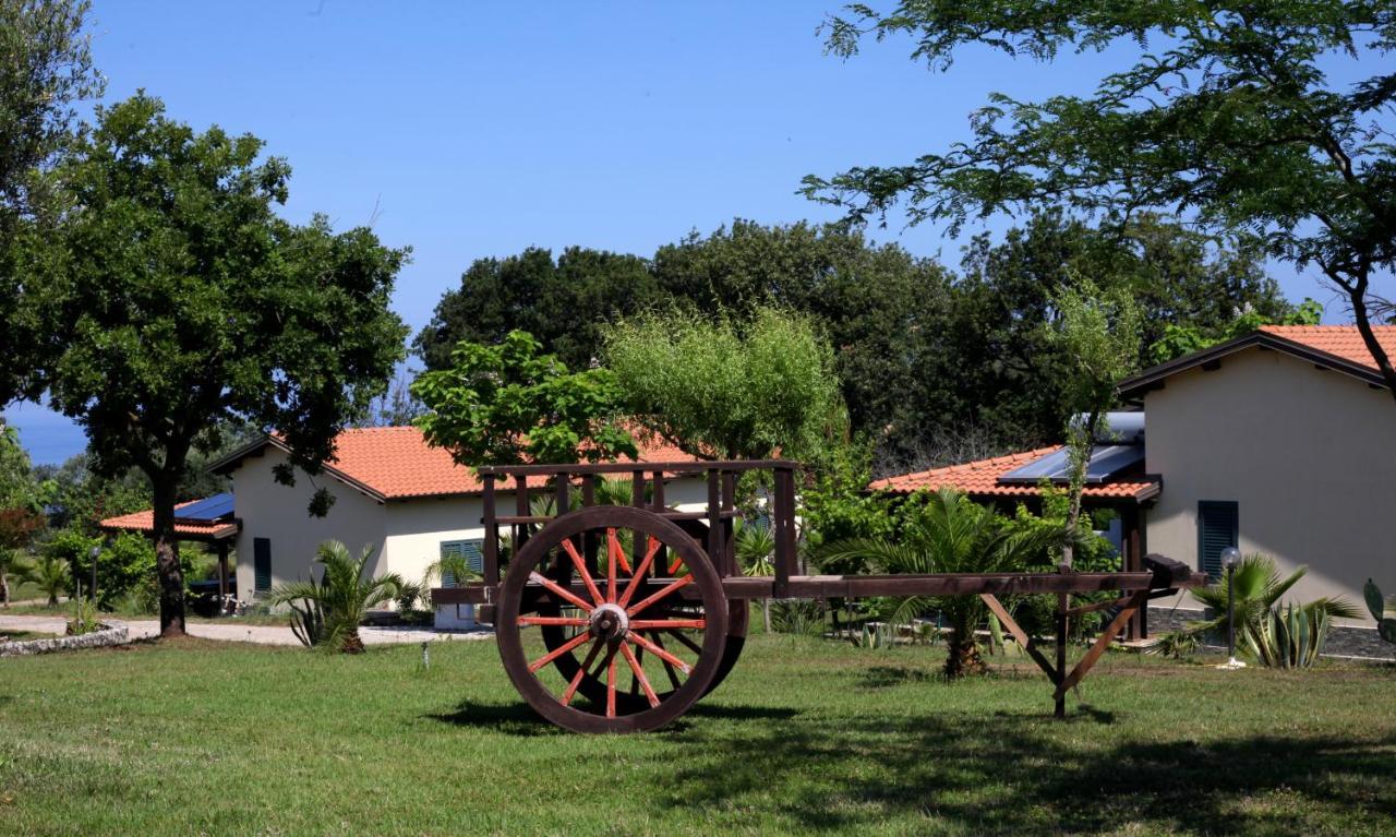Agriturismo Ninea Ricadi Eksteriør billede