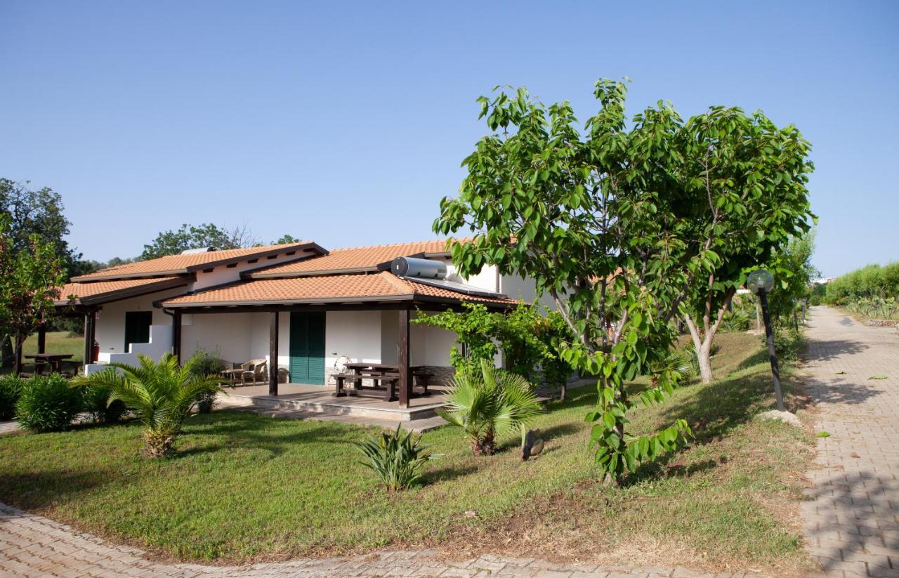 Agriturismo Ninea Ricadi Eksteriør billede