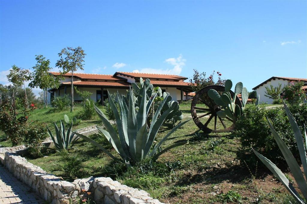 Agriturismo Ninea Ricadi Eksteriør billede