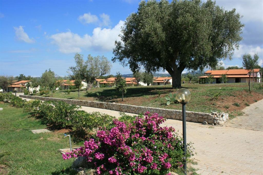 Agriturismo Ninea Ricadi Eksteriør billede