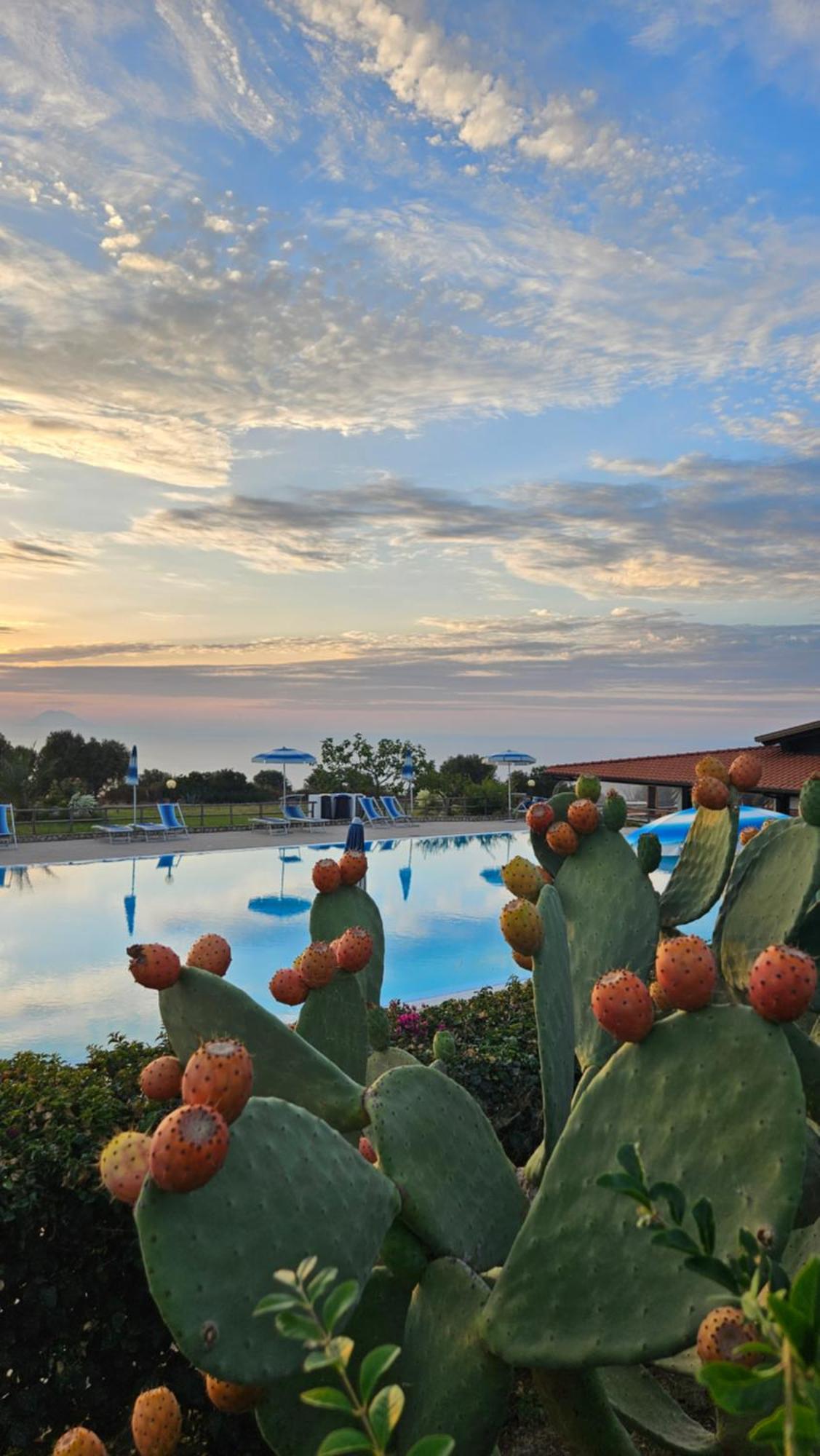 Agriturismo Ninea Ricadi Eksteriør billede