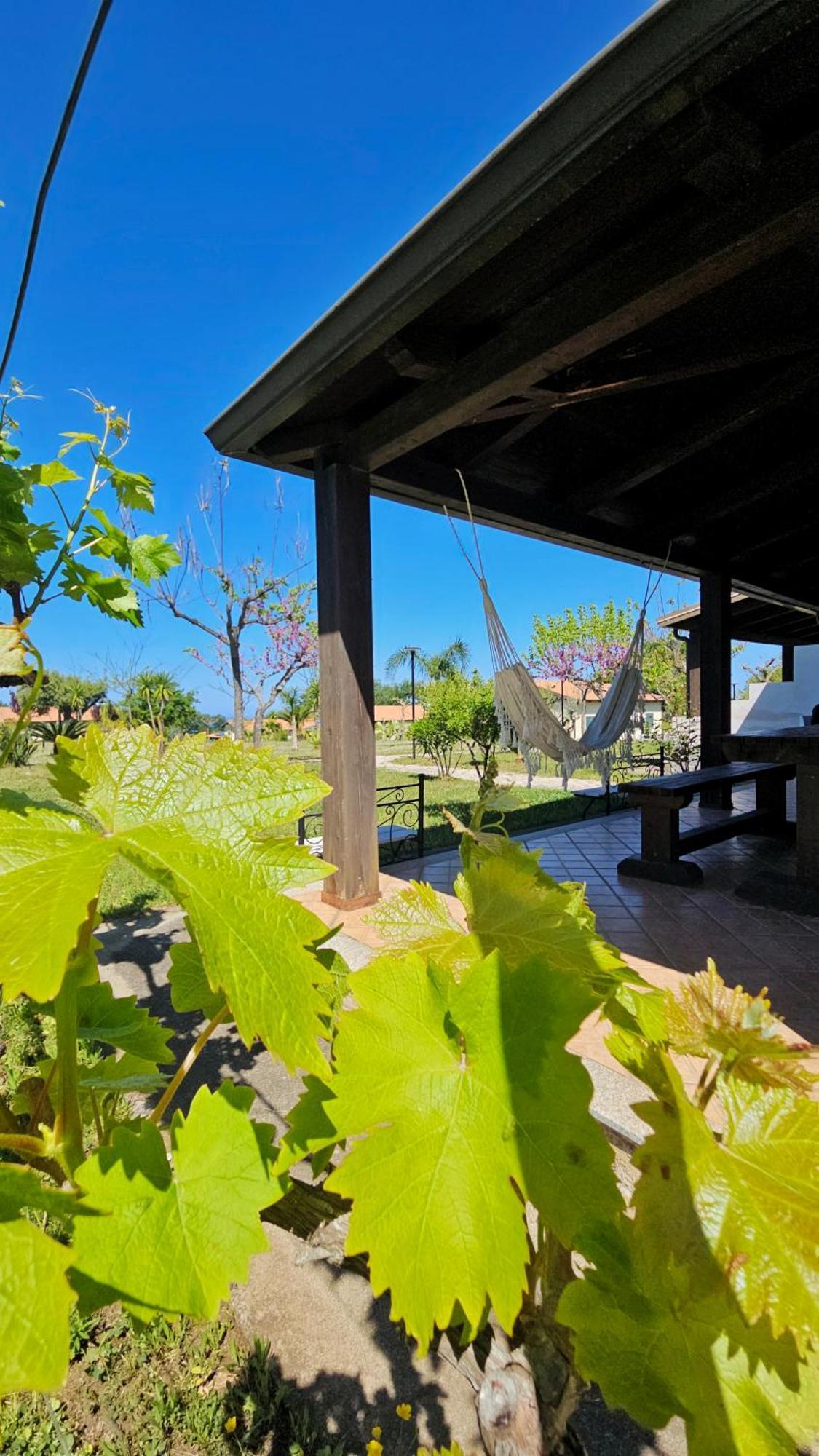 Agriturismo Ninea Ricadi Eksteriør billede