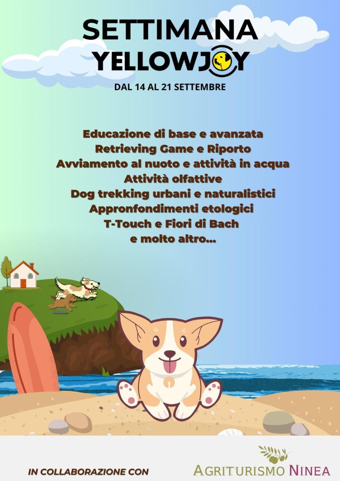 Agriturismo Ninea Ricadi Eksteriør billede